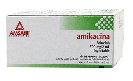 Amikacina 100Mg Amp C/1 (Amsa)