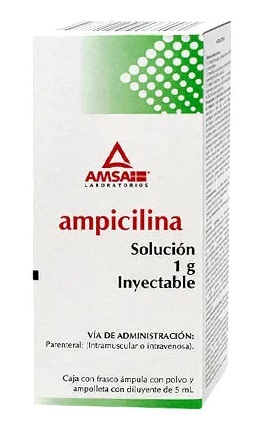 Ampicilina 1G Sol Iny (Amsa) A*