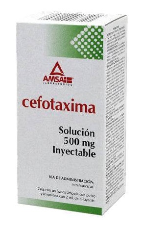 Cefotaxima 500Mg Im Amp 2Ml C1 (Amsa)