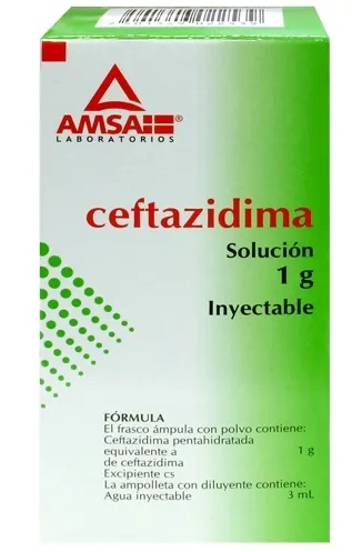 Ceftazidima 1G Amp 3Ml C1 (Amsa)