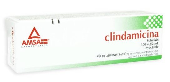 Clindamicina 300Mg Iny C/1Amp (Amsa)