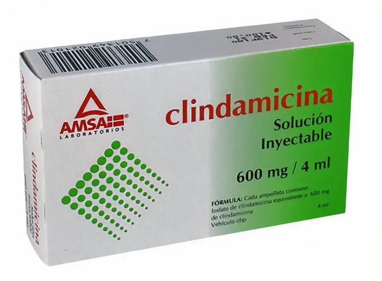 Clindamicina 600 Amp C/1 (Amsa)