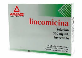 Lincomicina 300Mg Amp C6 (Amsa)