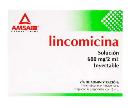 Lincomicina 600Mg C/6 Amp 2Ml (Amsa)