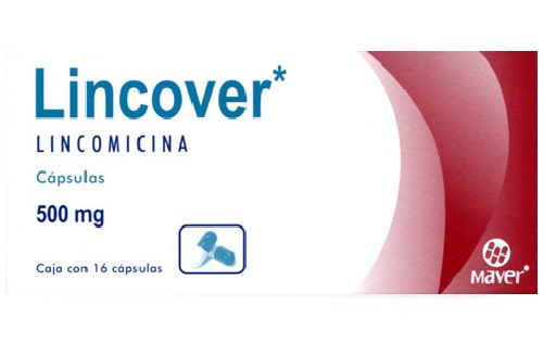 Lincover Lincomicina 500Mg C/16 Cap