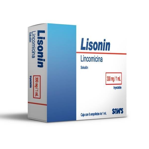 Lisonin Lincomicina 300Mg 1Ml C/1